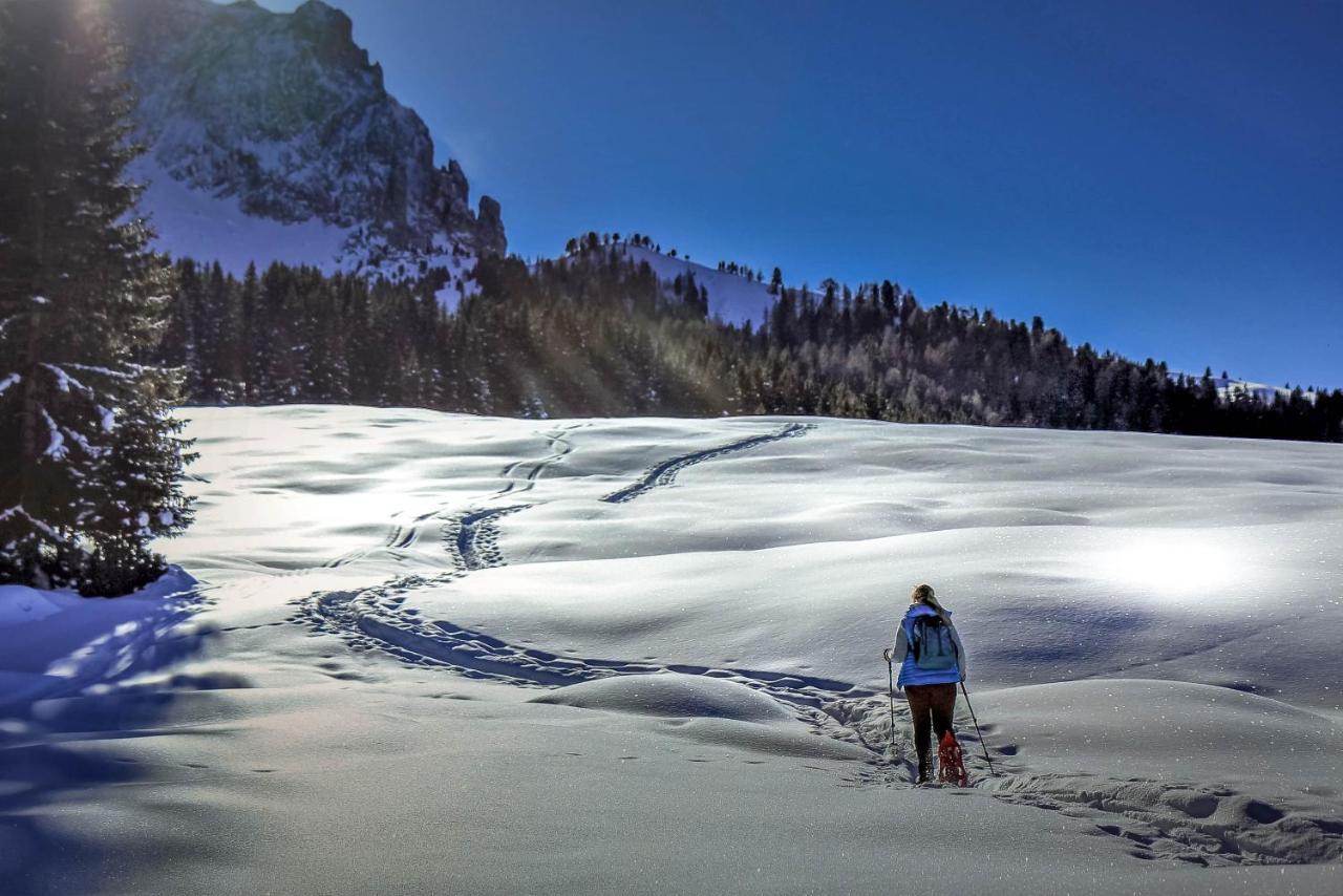 Apartments Vaiolet Santa Cristina Val Gardena ภายนอก รูปภาพ