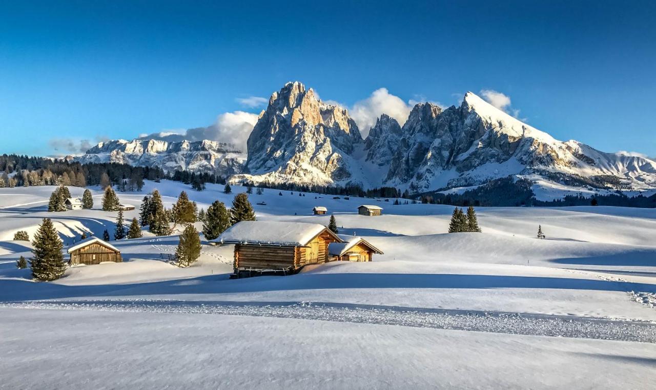 Apartments Vaiolet Santa Cristina Val Gardena ภายนอก รูปภาพ